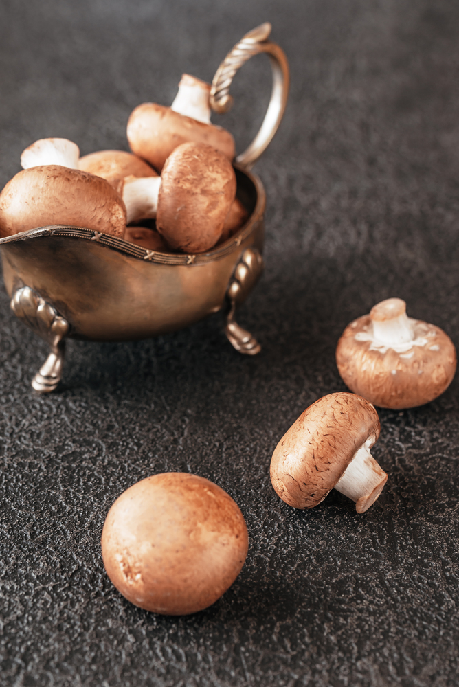 Swiss brown mushroom close-up