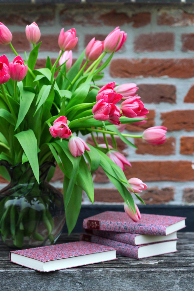 beautiful pink tulips in a vase  on the windowsill near the window, Netherlands,