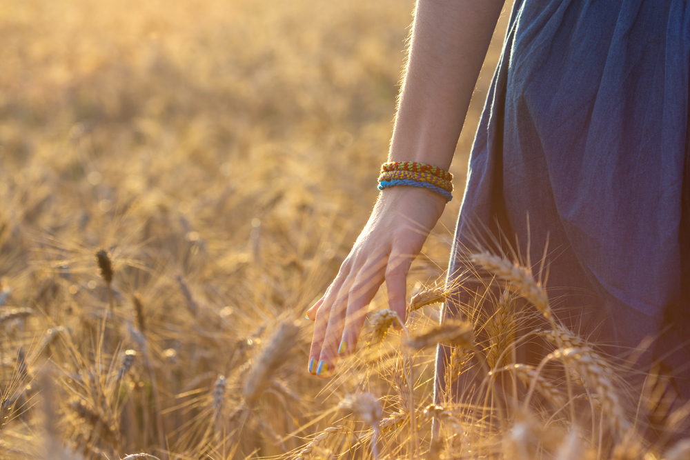 girl walking through the field and touching a wheat with her hand