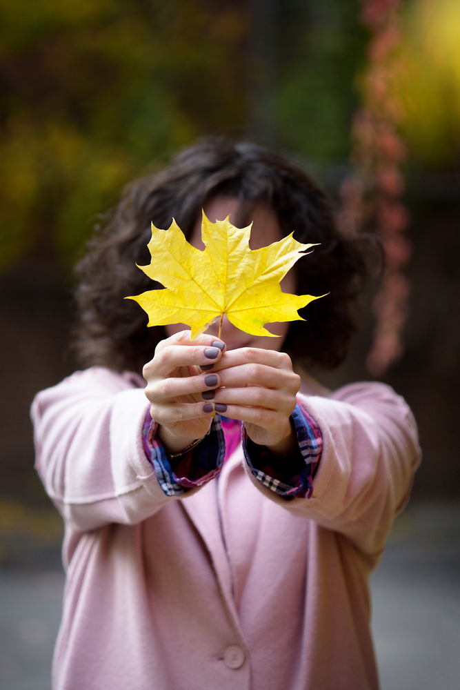 yellow maple leaf in the hands of a girl. Autumn