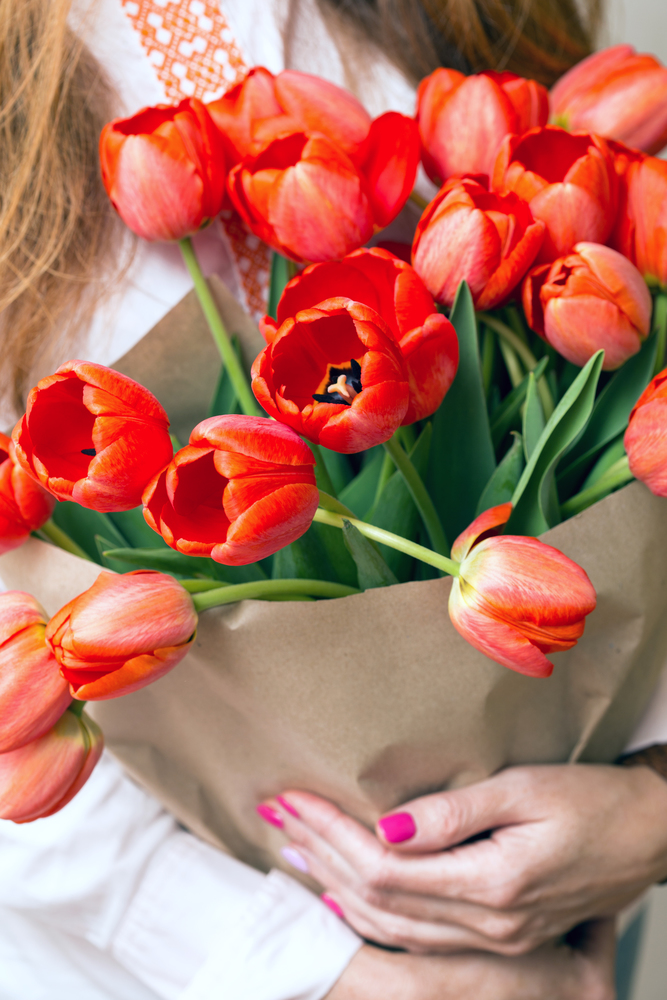 girl holding a huge bouquet of red tulips in their hands