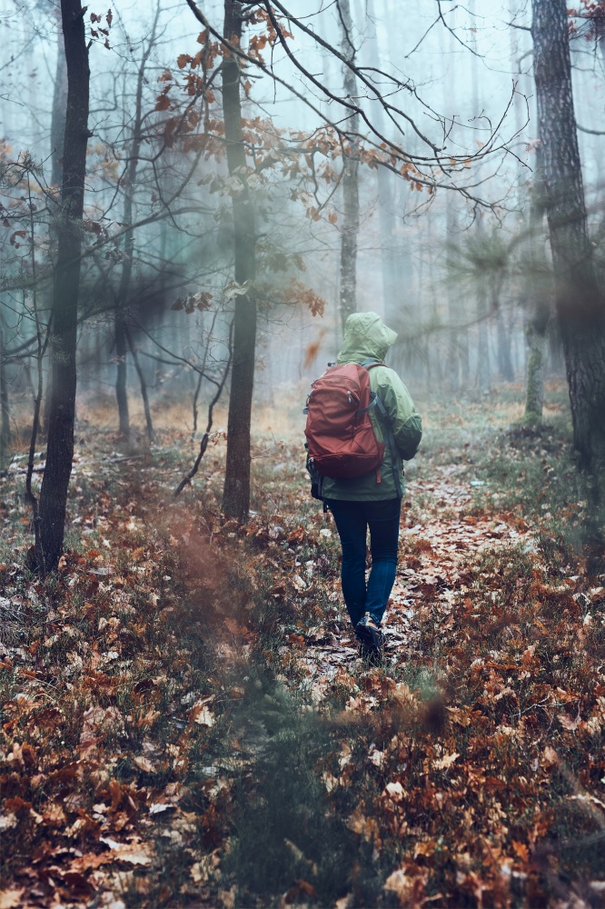 Woman with backpack wandering in a forest on autumn cold day. Back view of middle age active woman going along forest path actively spending time. Woman with backpack wandering around a forest on autumn cold day