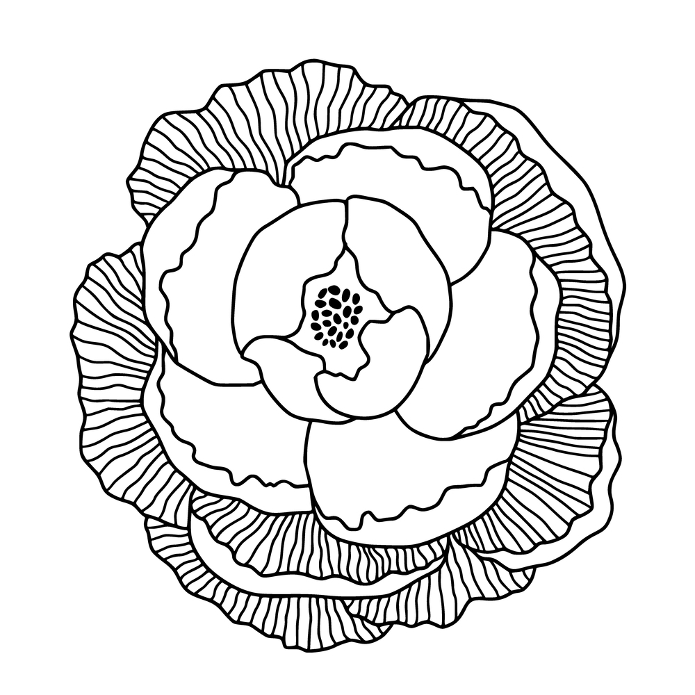 Peony flower illustration in line art style. Logo or t-shirt print design. Coloring page with asian peony. Peony flower illustration in line art style. Logo or t-shirt print design. Coloring page with asian peony.