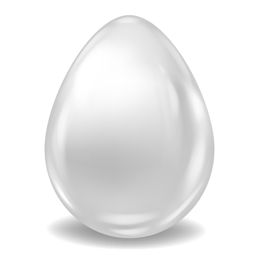 white Realistic Easter Egg Colored Glossy. Vector illustration isolated. White Realistic Easter Egg Colored Glossy. Vector illustration