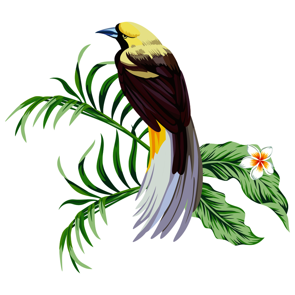 Exotic single tropical bird with plant flower print wallpaper white background