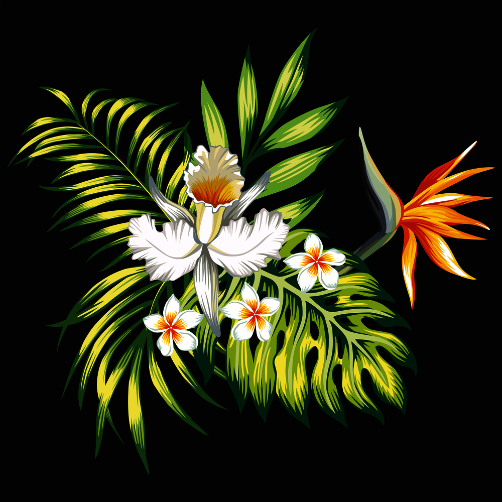 Exotic trendy composition from tropical flowers lily, plumeria, bird of paradise and palm leaves, monstera on the black background