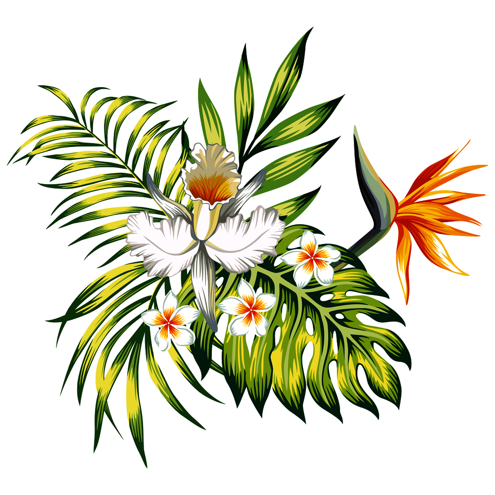 Exotic trendy composition from tropical flowers lily, plumeria, bird of paradise and palm leaves, monstera on the white background