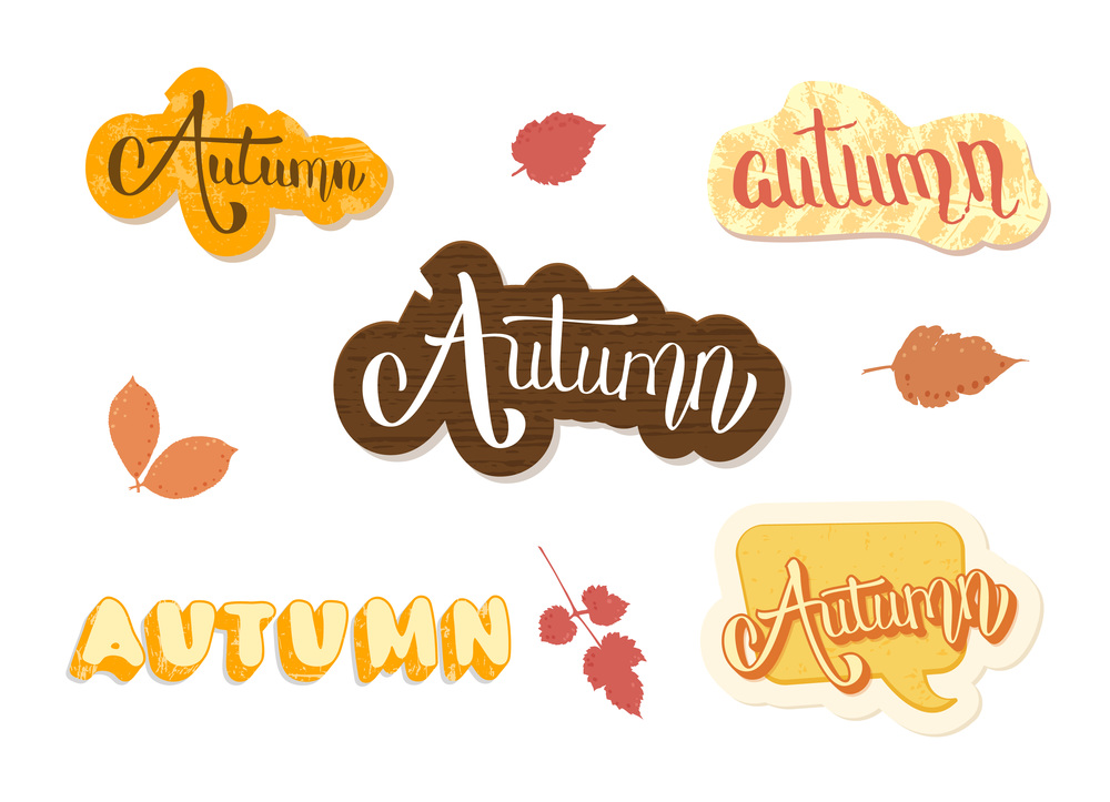 Set of Autumn words textured stickers. Handwritten lettering with decoration. Elements for season design. Vector illustration.