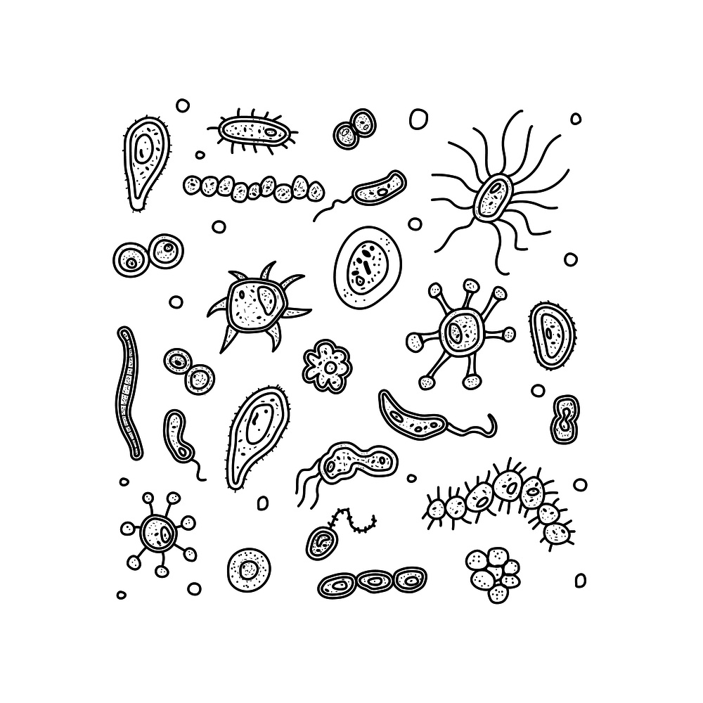 Different bacterias cells coloring page. Microorganism collection isolated on white background. Vector doodle style composition.