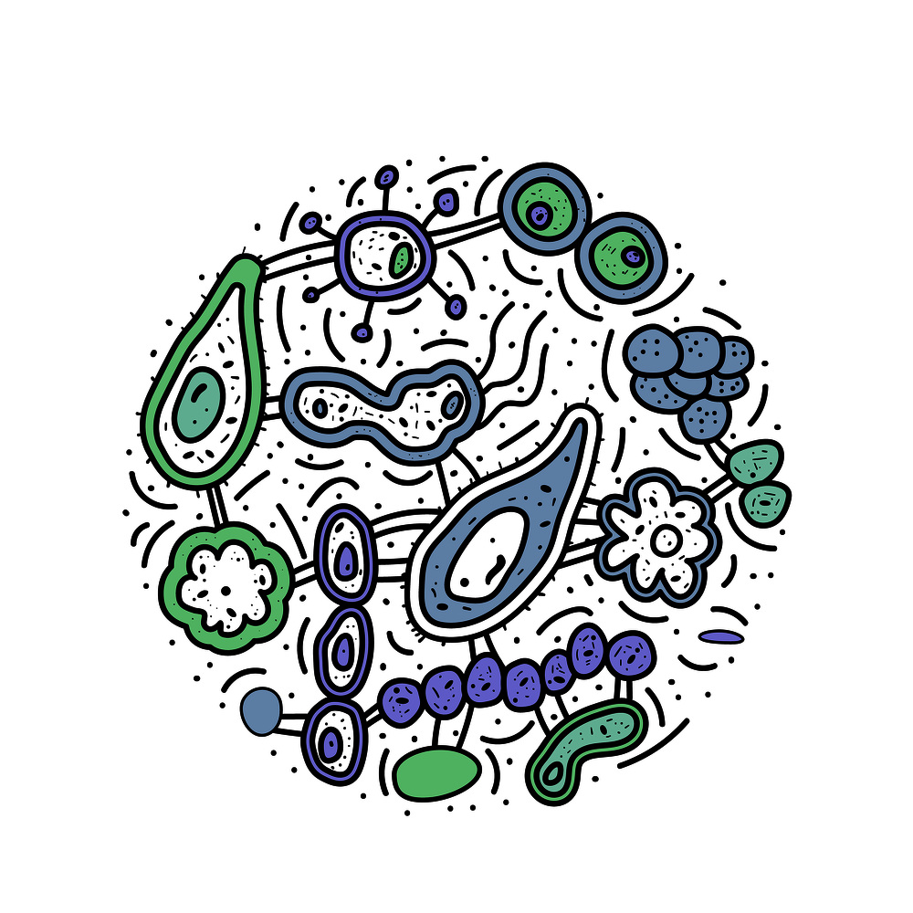 Bacteria cells set. Microorganism collection round composition. Vector doodle style objects isolate on white background.