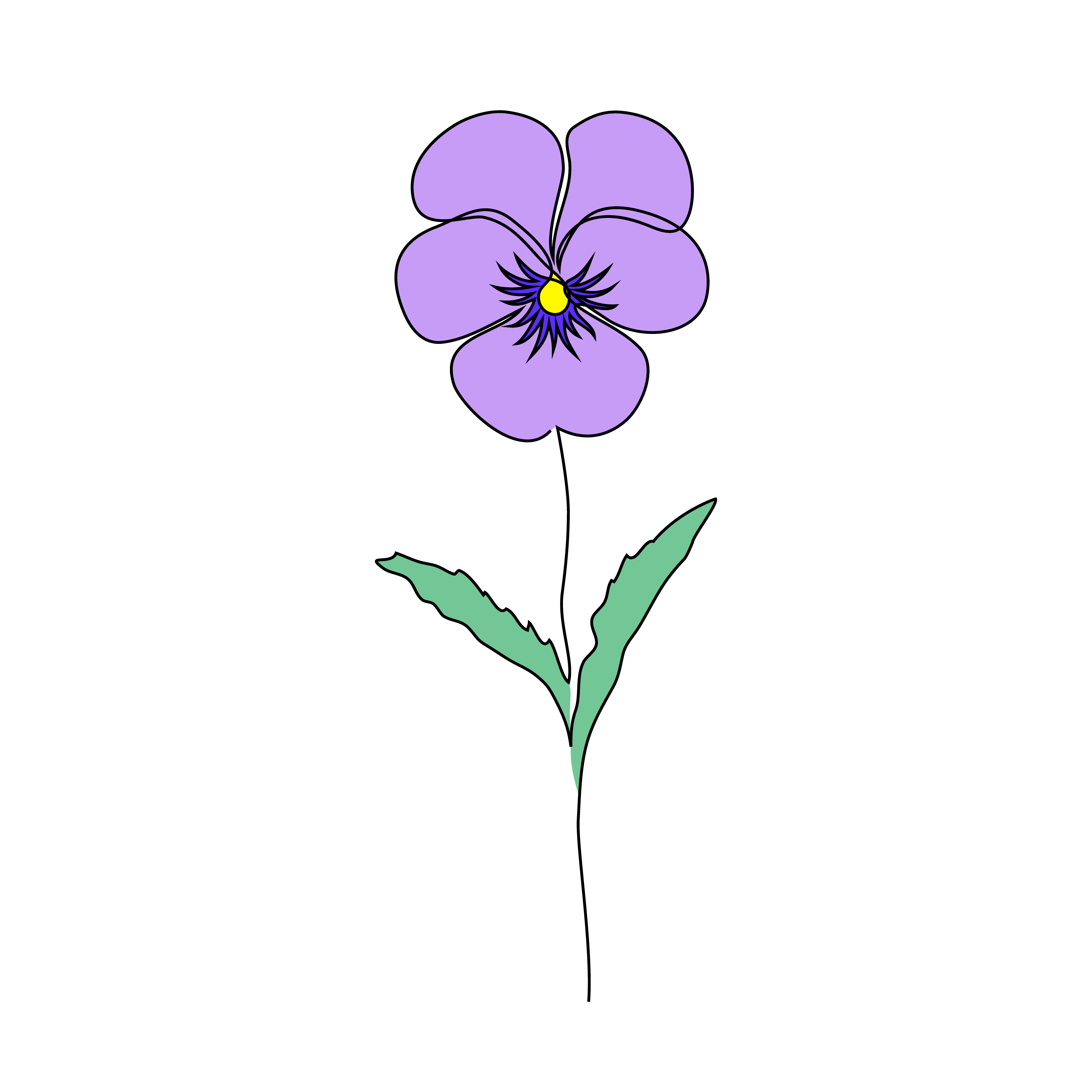 Violet flower on white background. One line drawing style.. Violet flower on white