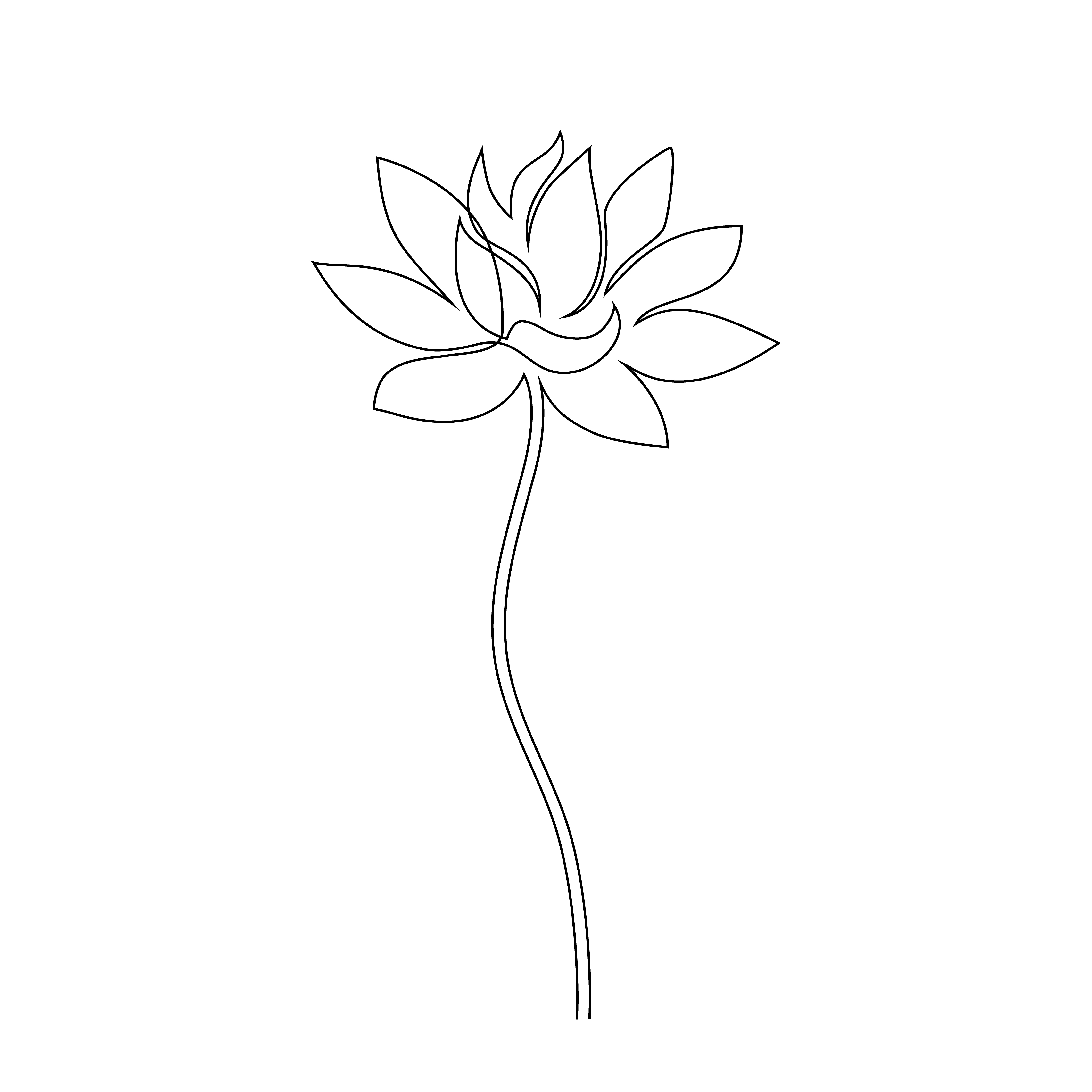 Lotus flower on white background. One line drawing style. Lotus flower on white