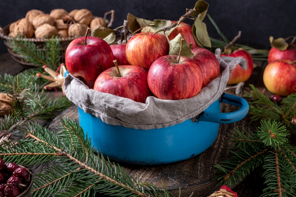 Christmas still life with apples, apruce branches, walnuts and dried rose hips