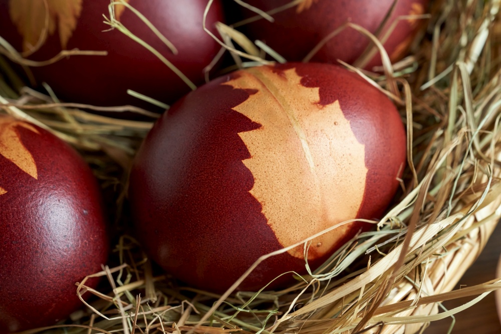 Easter eggs dyed with onion peels with a pattern of dandelion leaves