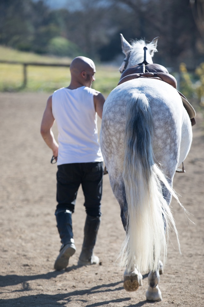 Back view of a bald cowboy man walking with his white horse