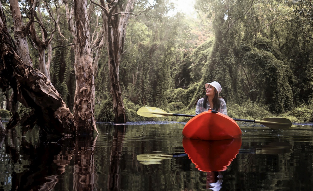 Asian traveler woman kayaking in Mangrove forest of Botanical Garden, Thailand. Landscape travel and tourist concept