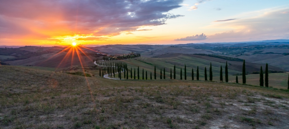 Tuscany, cypress trees road., Crete Senesi rural sunset landscape. Countryside farm, cypresses trees, green field, sun light and cloud. Italy, Europe.