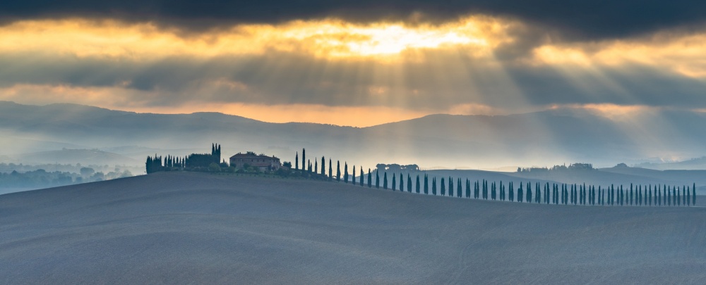 Landscape in Tuscany, Italian cypress trees rows, Countryside farm, cypresses trees, green field, sun light and cloud, Siena, Tuscany, Italy, Europe.