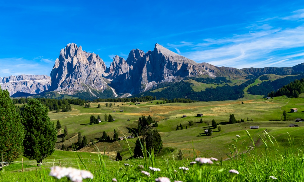 Seceda Mountains at the Dolomites, Trentino Alto Adige, Val di Funes Valley, South Tyrol in Italy, Odle Mountains in the background, Italy.