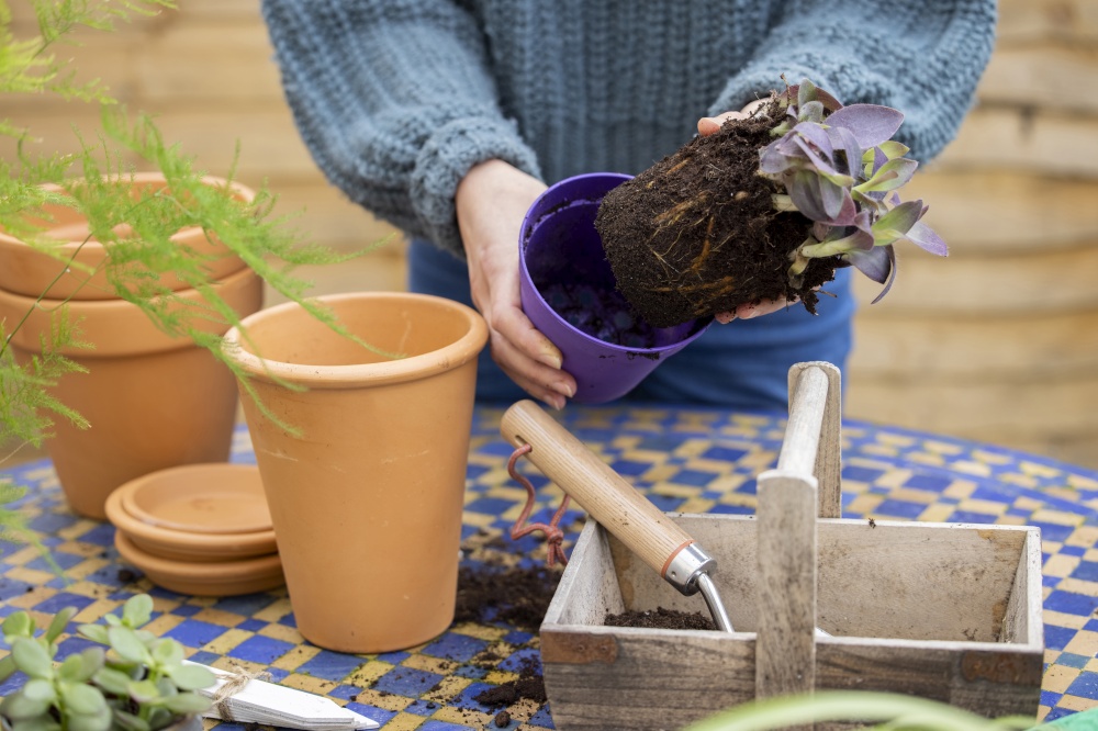 Close Up Of Woman Re-Potting Houseplant Into Larger Compost Filled Pot Outdoors