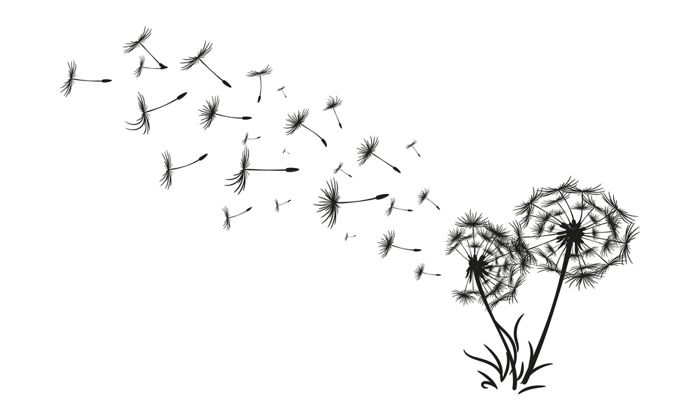 Abstract black dandelion, dandelion with flying seeds illustration