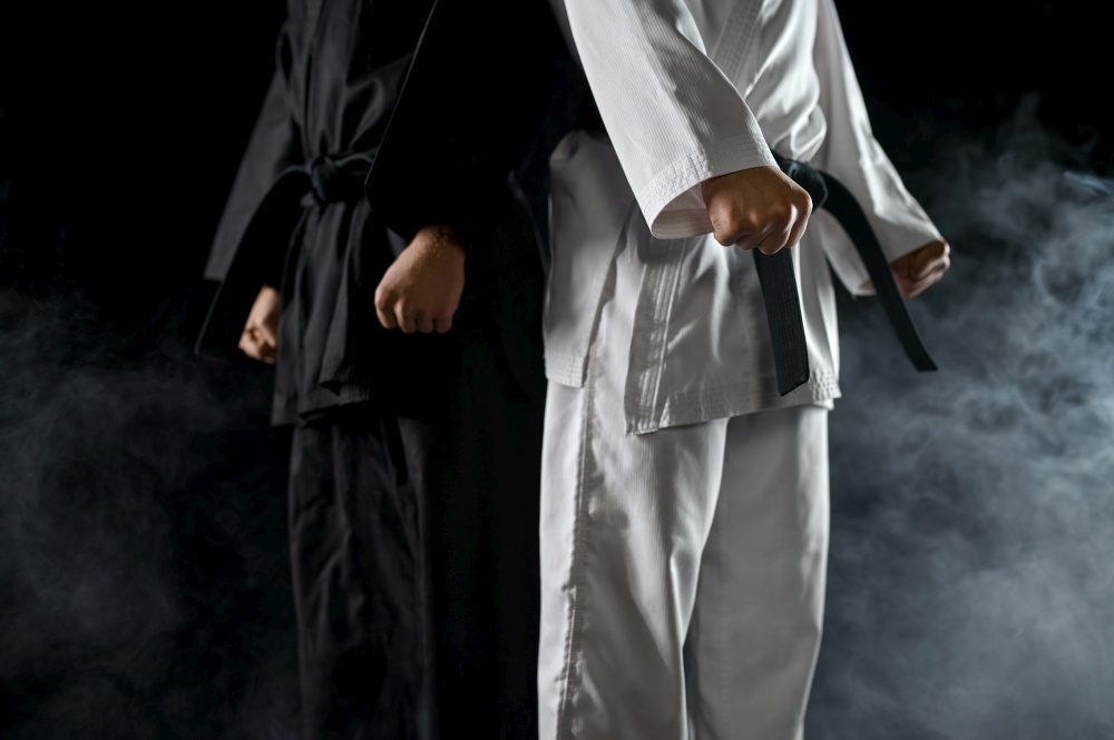 Two male karatekas in white and black kimono, dark background with smoke. Fighters on workout, martial arts, fighting competition. Two male karatekas in white and black kimono