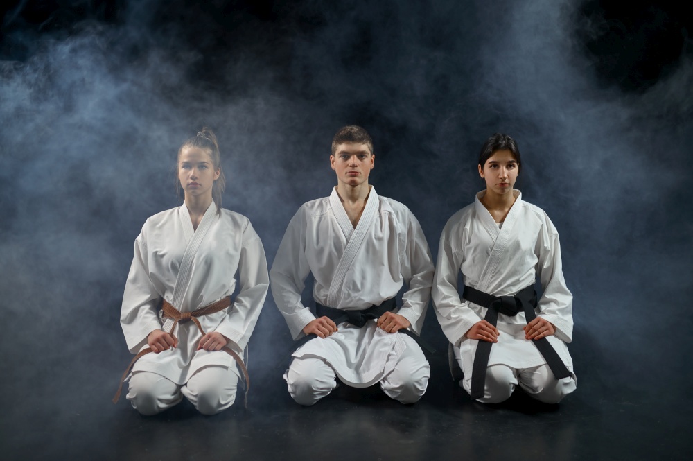 Female karate fighters and master in white kimono, group training, dark smoky background. Karatekas on workout, martial arts, fighting competition. Female karate fighters and master in white kimono