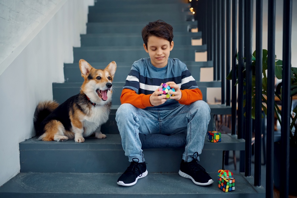 Little boy and his dog play with puzzle cubes. Toy for brain and logical mind training, creative game, solving of complex problems. Little boy and his dog play with puzzle cubes
