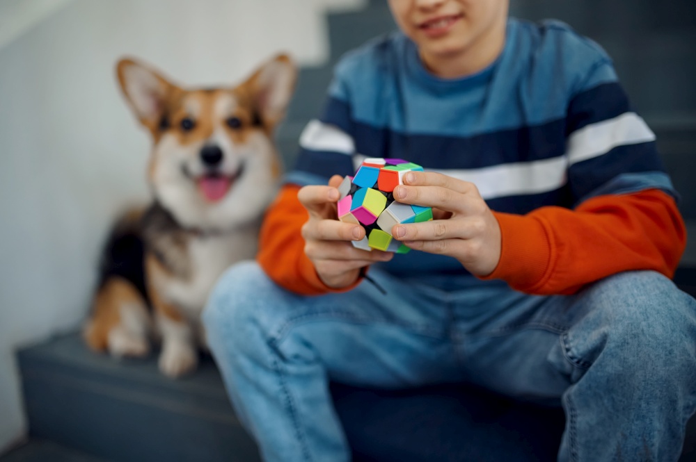 Child and his dog play with puzzle cubes on steps. Toy for brain and logical mind training, creative game, solving of complex problems. Child and his dog play with puzzle cubes on steps
