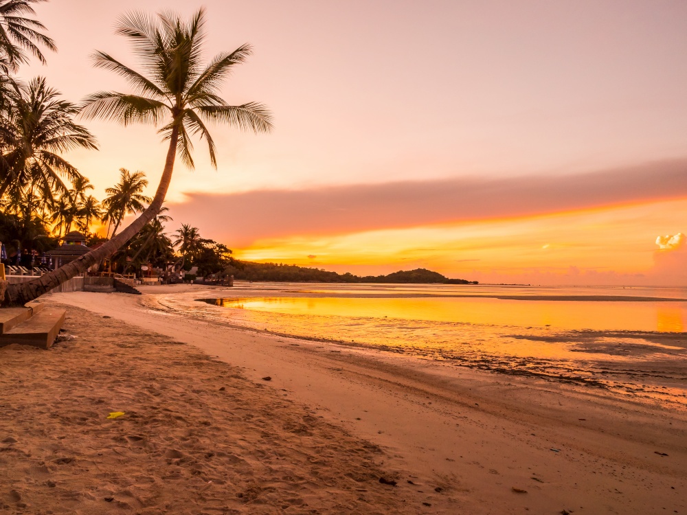 Beautiful tropical beach sea and ocean with coconut palm tree at sunrise time for travel and vacation