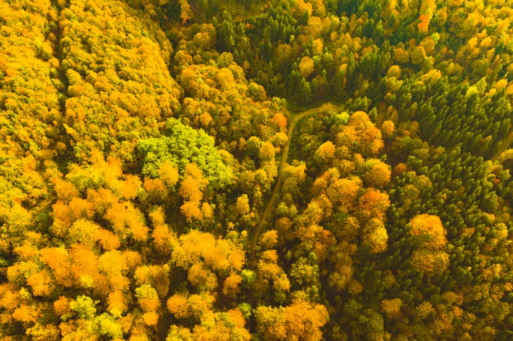 Aerial view of autumn forest in South Styrias Green hart of Austria. View at hiking paths in clolorfull alpine forest.. Aerial view of autumn forest in South styrias Green hart of Austria