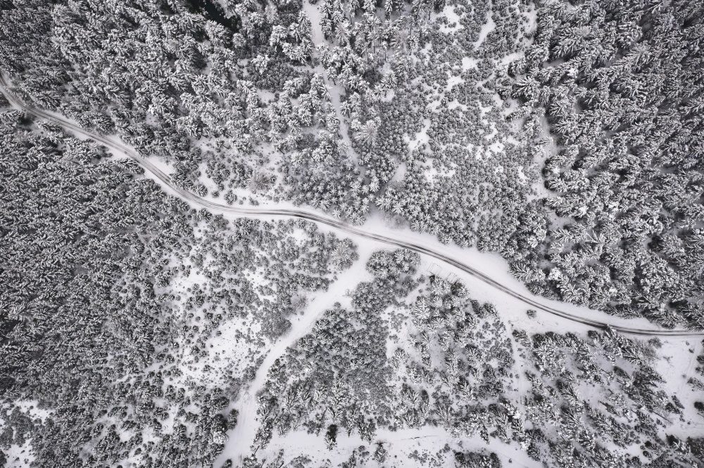 Aerial view of a snowy pine forest and road , hiking path. Austrian forests in Styria in winter. Aerial view of a snowy pine forest and road , hiking path.