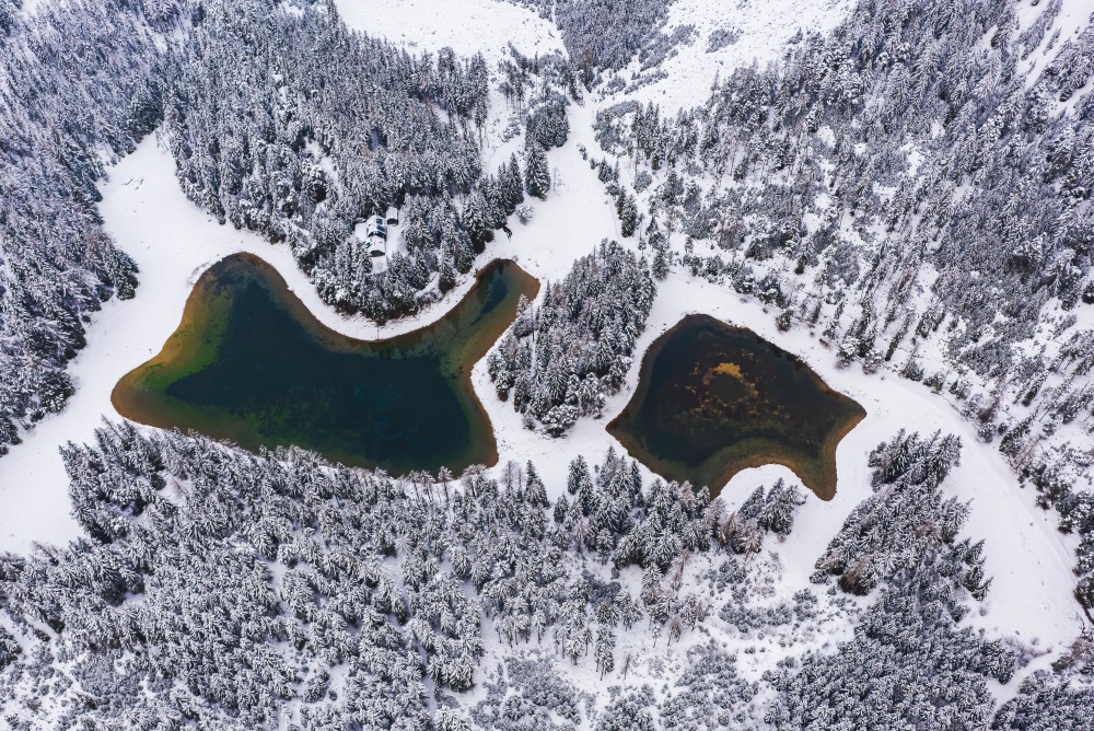 Aerial view of a snowy pine forest and green lake. Austrian gruner see lake.. Aerial view of a snowy pine forest and green lake.