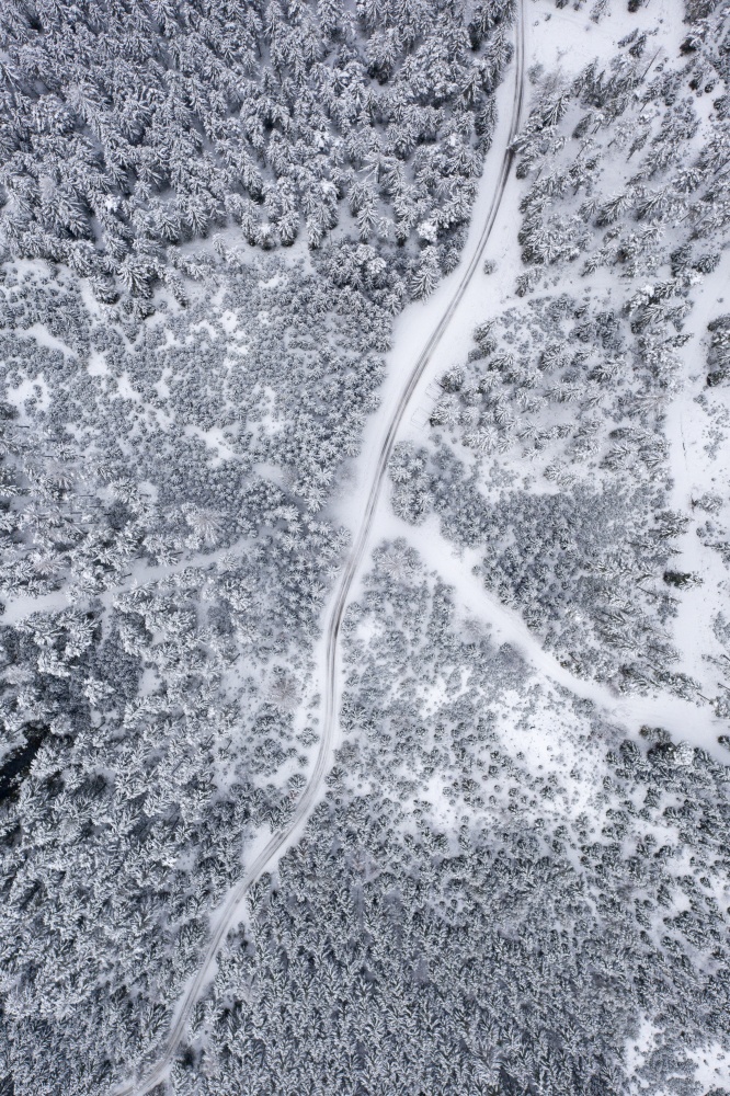 Aerial view of a snowy pine forest and road , hiking path. Austrian forests in Styria in winter. Aerial view of a snowy pine forest and road , hiking path.