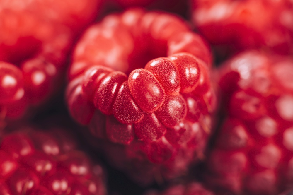 Fresh Raspberries Macro Close Up. Antioxidant fruit. Raspberries Macro Close Up
