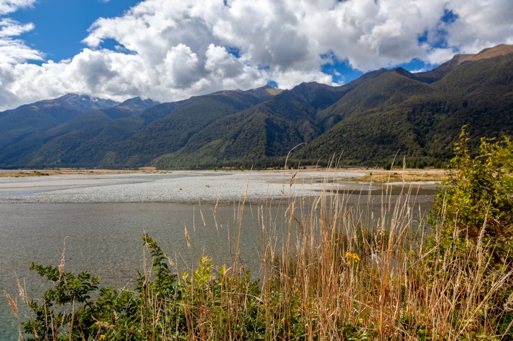 A scenic view of Jacob&rsquo;s River in summertime in New Zealand