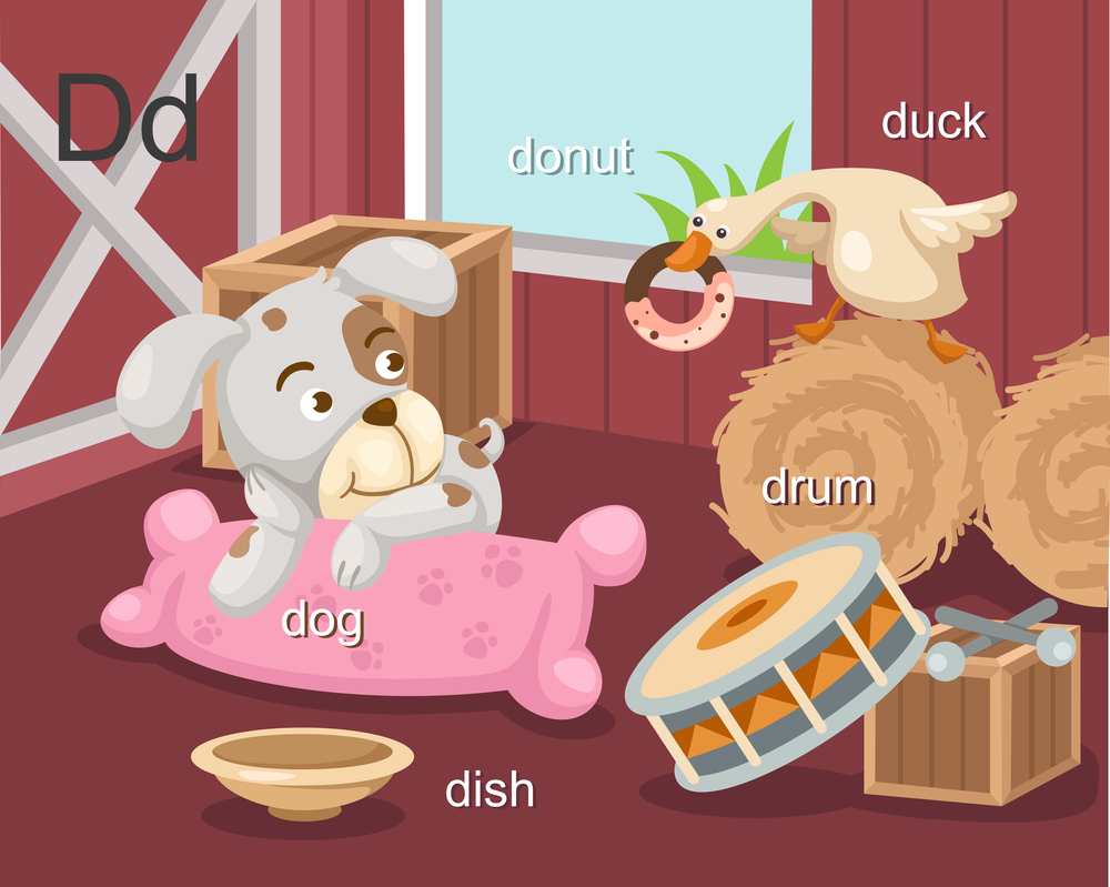 Alphabet.D letter.dog,donut,dish,drum,duck.