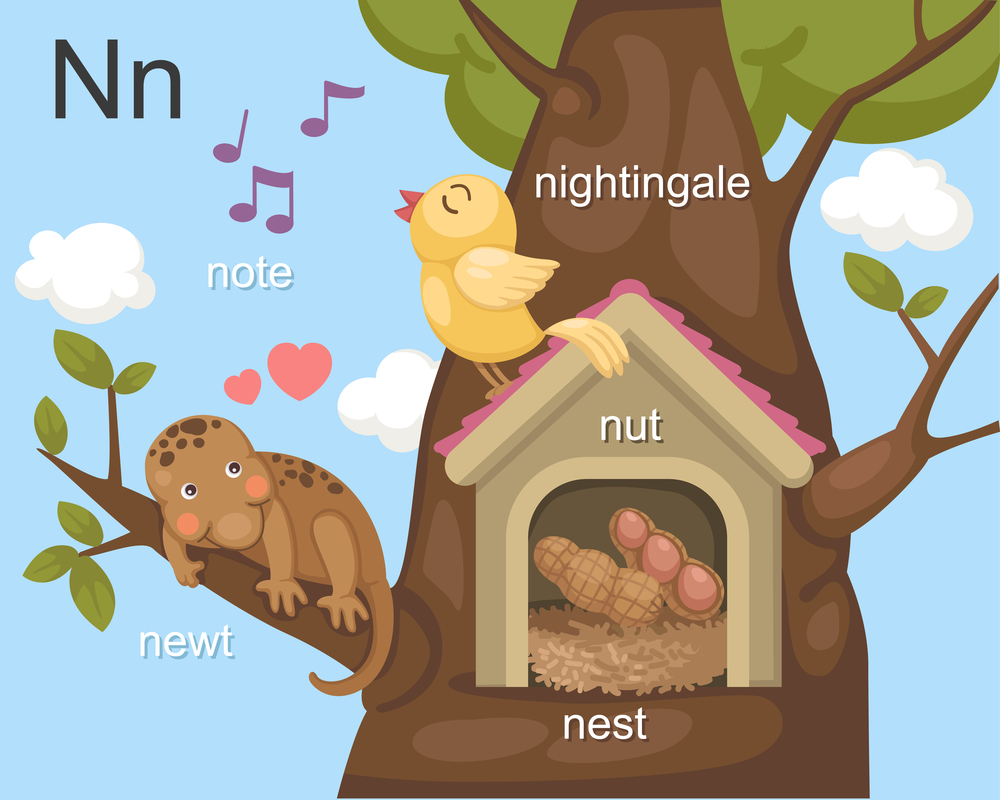Alphabet.N letter.note,newt,nest,nut,nightingale.