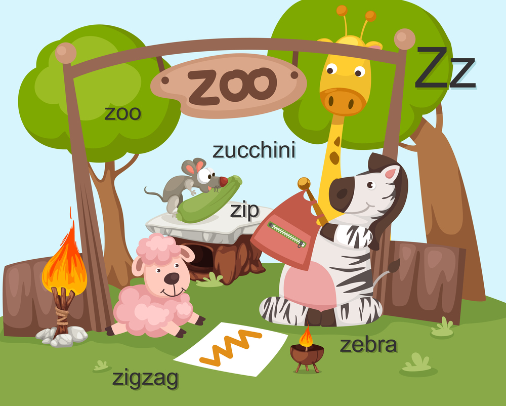 Alphabet Z letter, zoo , zip , zebra , zigzag , zucchini