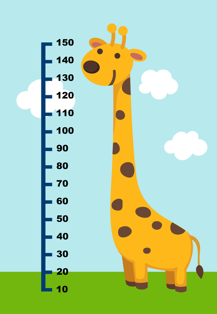 Meter wall with giraffe. vector illustration.