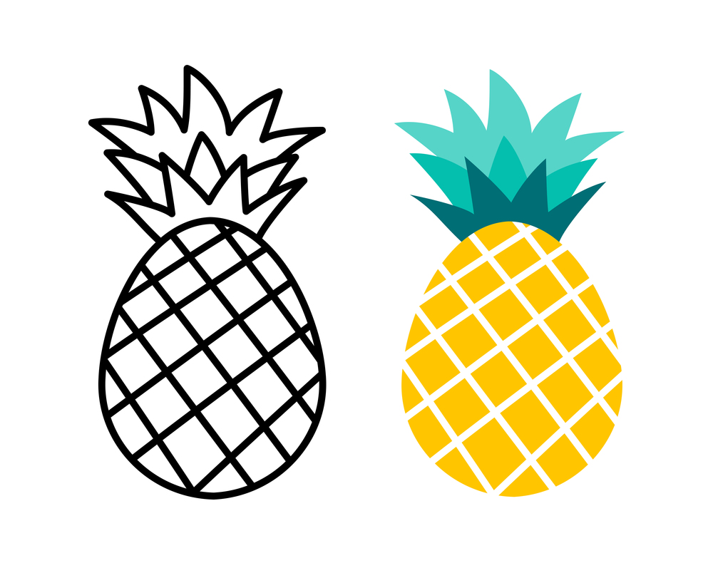 Pineapple fruit flat and outline design. Summer tropical fruits for healthy lifestyle.