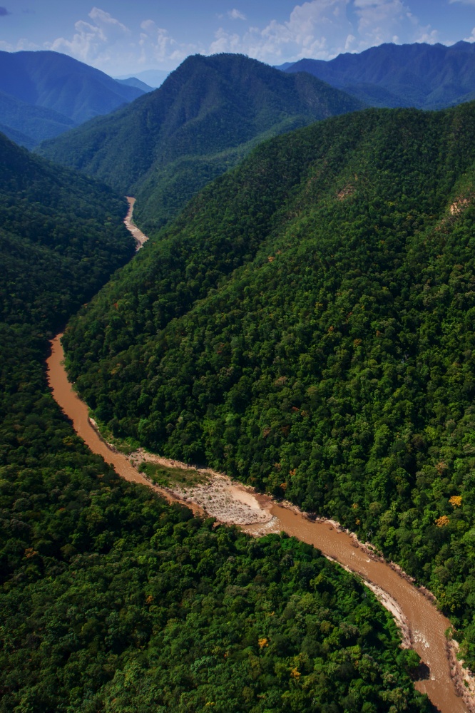 Aerial view of Teak forest and a river near Thailand and Myanmar border,