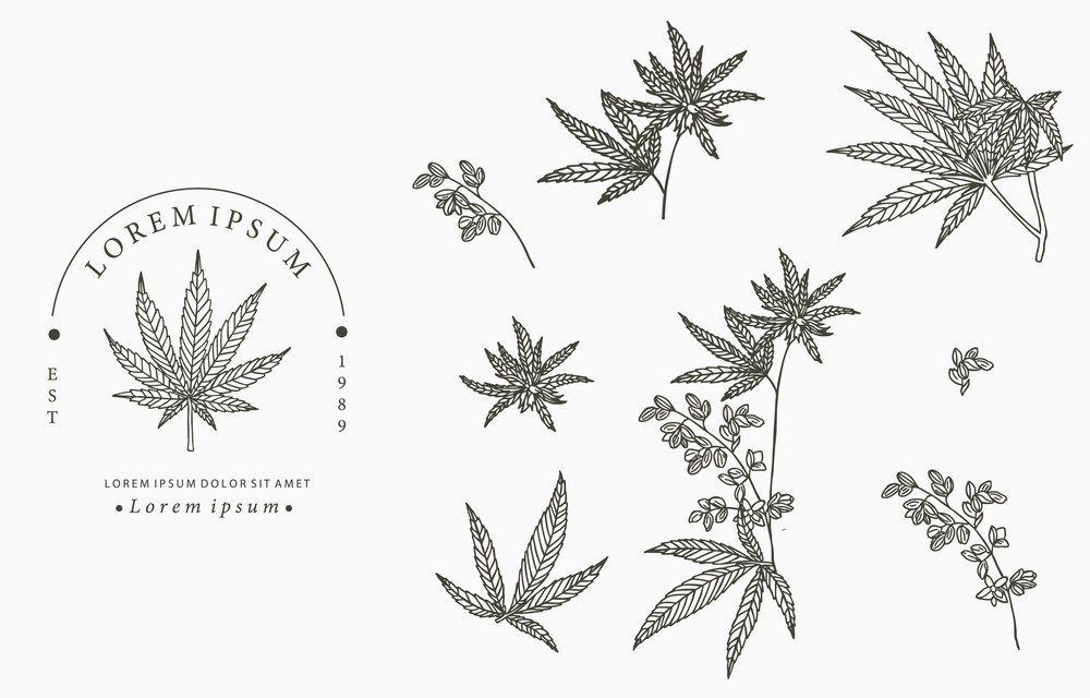 cannabis collection.Vector illustration for icon,sticker,printable