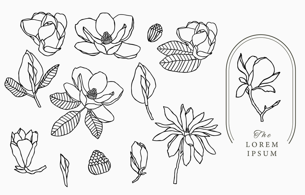 Line flower collection with magnolia.Vector illustration for icon,sticker,printable and tattoo