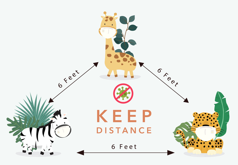 Cute animal social ditancing collection with giraffe,leopard is wearing mask.Vector illustration for prevention the spread of bacteria,coronviruses