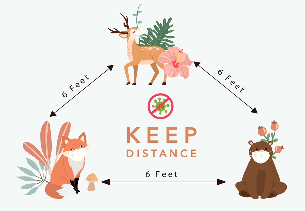 Cute animal social ditancing collection with fox,deer is wearing mask.Vector illustration for prevention the spread of bacteria,coronviruses