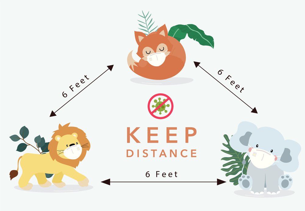 Cute animal social ditancing collection with fox,lion is wearing mask.Vector illustration for prevention the spread of bacteria,coronviruses