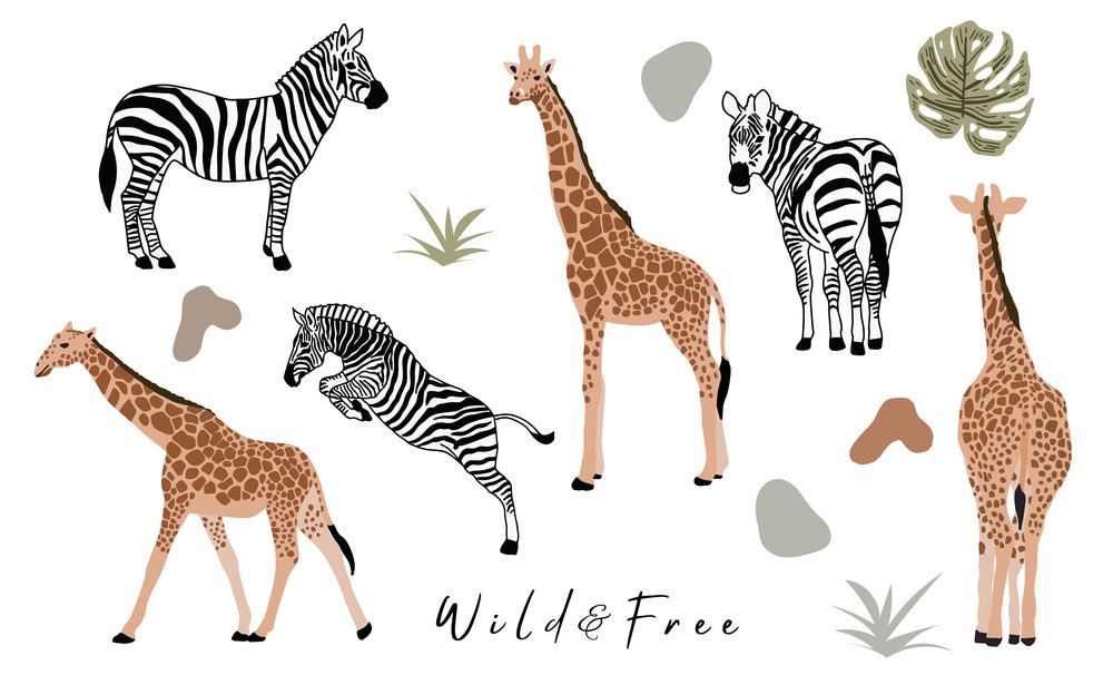 animal object collection with giraffe,zebra.Vector illustration for icon,sticker,printable