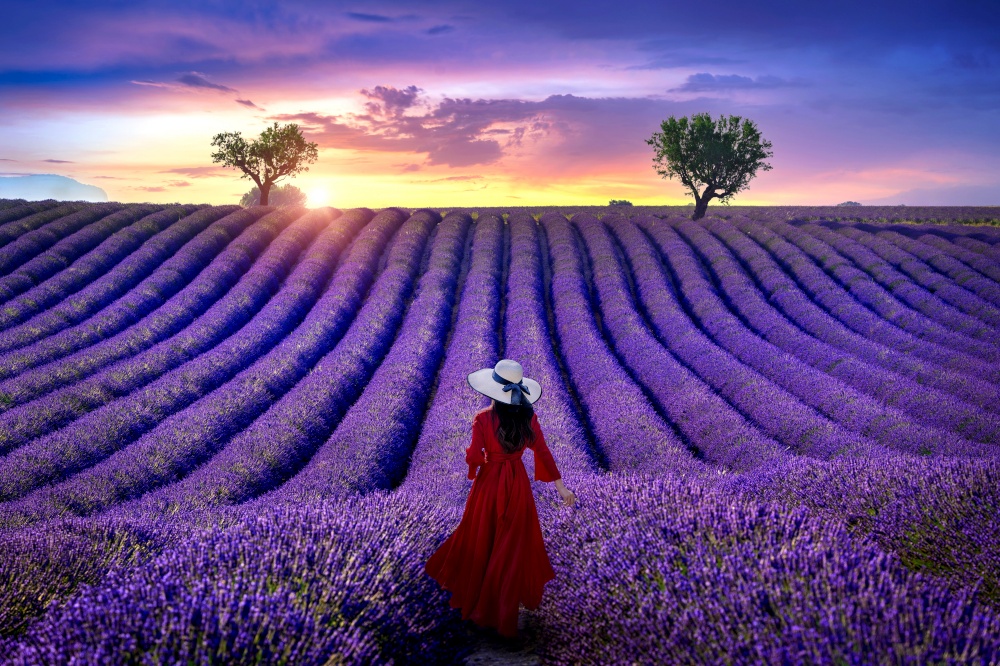 Woman walking in lavender field at sunset.