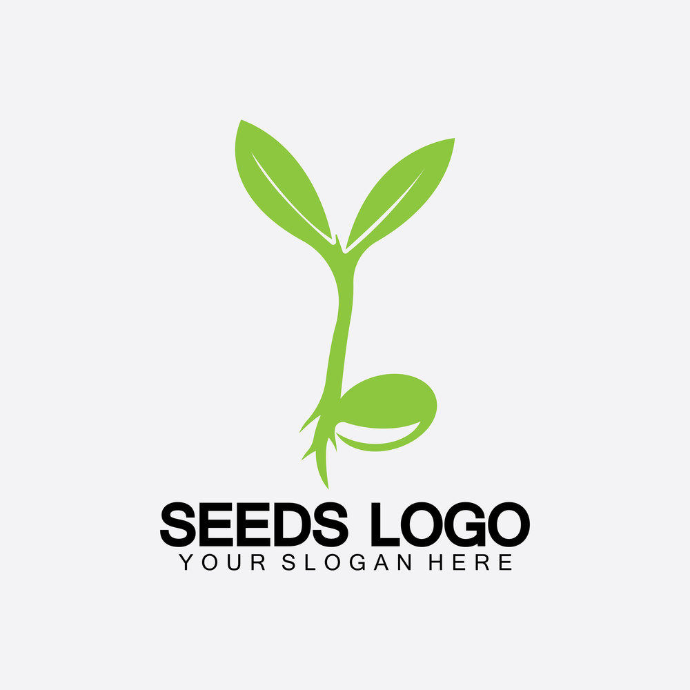 Plant Seeds Logo Concept Template Vector.growing seed logo.Seed grow Vector logo illustration design template